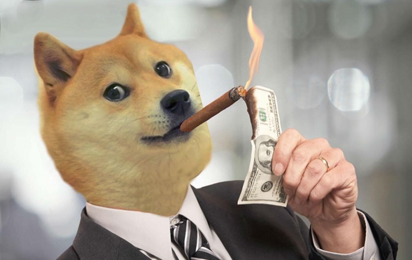 World Famous Meme Crypto $DOGE Establishes “Official Dogecoin Reserve”