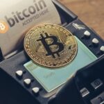 Best Wallet To Store Xrp 2025 – How To Store Ripple